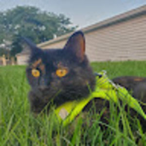 Meet your Posher, Larissa